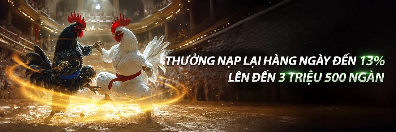 Sân vận động với ánh đèn rực rỡ, biểu tượng cá cược thể thao u888b win