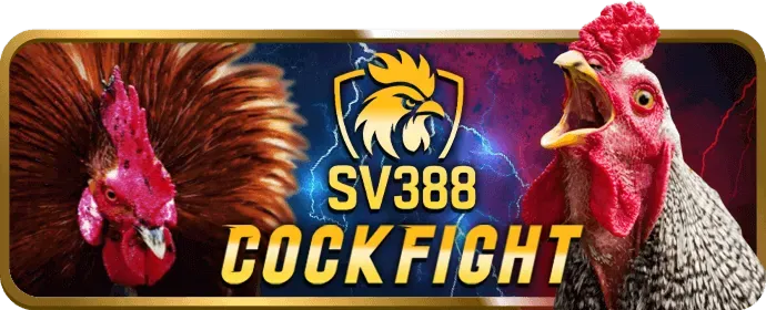 Trò chuyện trực tuyến u888b win